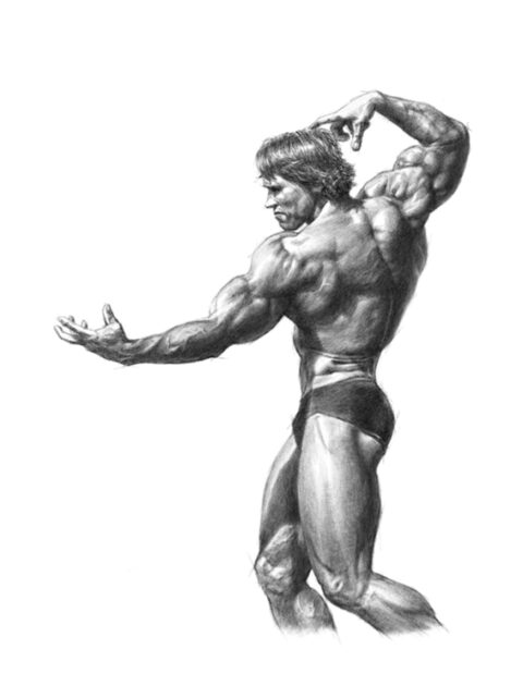 Karya Dosen D. Rio Adiwijaya – Young Schwarzenegger 2